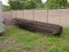 Underwater-log-1
