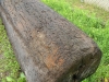 Underwater-log-2