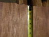Dscn5236