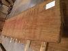Dscn4761