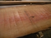 Dscn4778