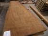 Dscn4785