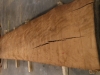 Dscn4677