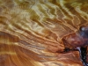 Still8
