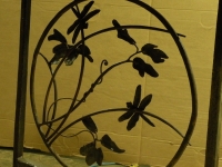 dragonfly7-copy