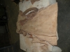 Dscn4207