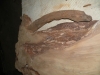 Dscn4209