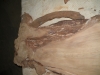 Dscn4210