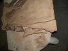 Dscn4212