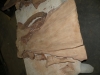 Dscn4213