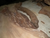 Dscn4214