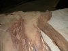 Dscn4217