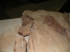 Dscn4218