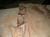 Dscn4219