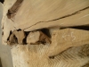Dscn4223