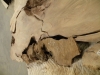 Dscn4224