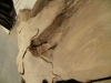 Dscn4225
