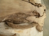 Dscn4230