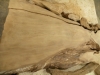 Dscn4231
