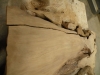 Dscn4232