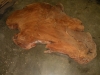 Dscn5031