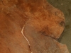 Dscn5034