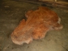 Dscn5035