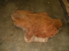 Dscn5036