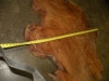 Dscn5037
