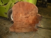 Dscn5039