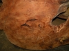 Dscn5049