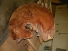 Dscn5053
