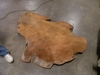 Dscn5061