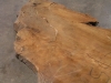 Dscn5062