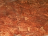 Dscn5095