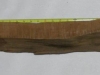 Dscn4525