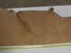 Dscn45272