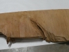 Dscn45302