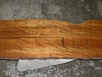 madaytable-3-copy