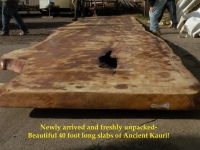 40foot_10