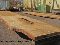 40foot_2