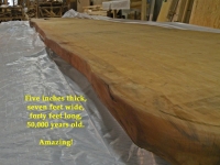 40foot_20