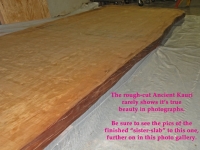 40foot_25