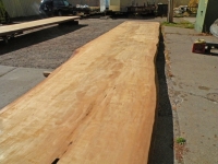 40foot_4