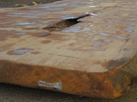40foot_7