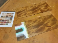 ColorTint_AncientKauri-1