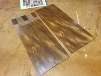 ColorTint_AncientKauri-10