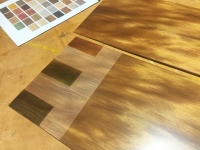ColorTint_AncientKauri-13