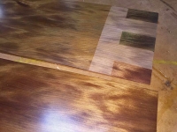 ColorTint_AncientKauri-19