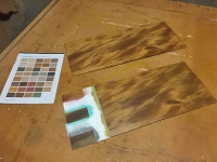 ColorTint_AncientKauri-3